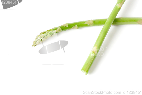 Image of Asparagus