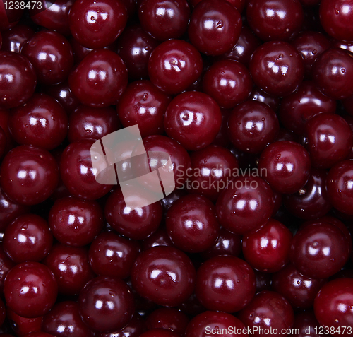 Image of Wet ripe red cherries as background 