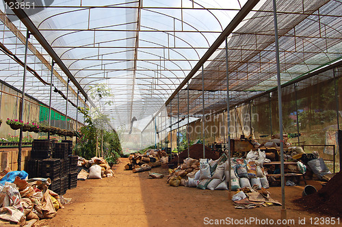 Image of Large greenhouse