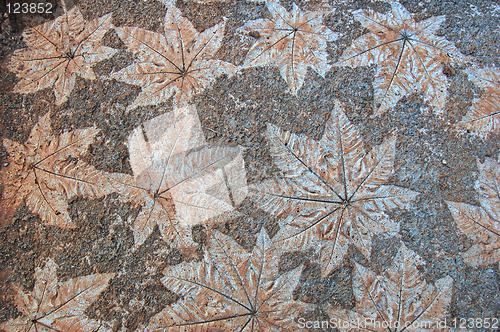 Image of Leaf stone