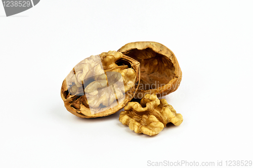 Image of Walnut isolated on white background.