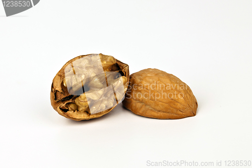 Image of Walnut isolated on white background.