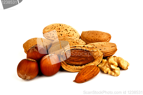 Image of Almonds, walnuts and hazelnuts.