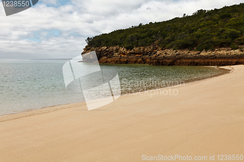 Image of Beach bunny.