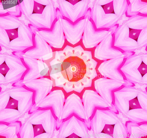 Image of Flower Kaleidoscopic Background 