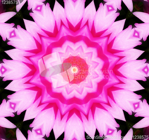 Image of Flower Kaleidoscopic Background 