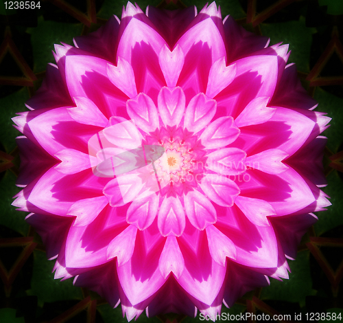 Image of Flower Kaleidoscopic Background 