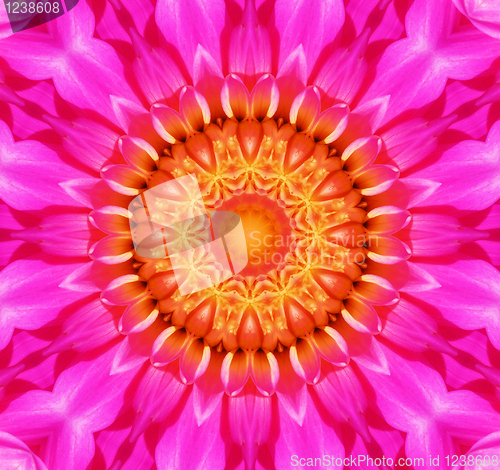 Image of Flower Kaleidoscopic Background 