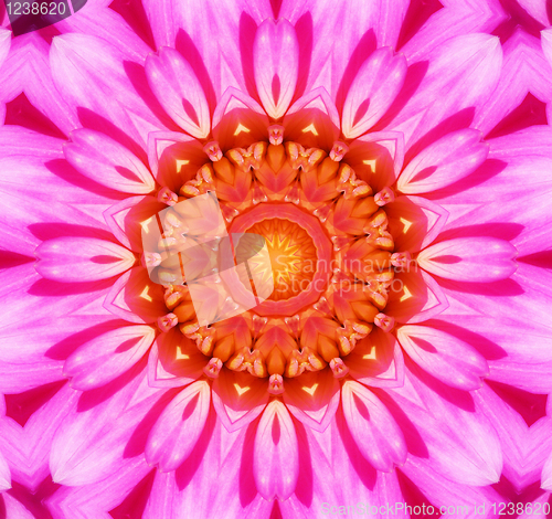 Image of Flower Kaleidoscopic Background 