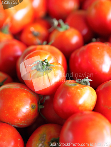 Image of organic tomato in market