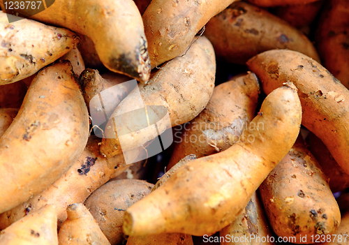 Image of Organic sweet potatoes at market
