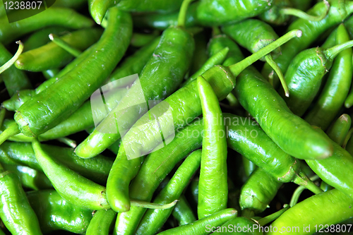 Image of green pepper