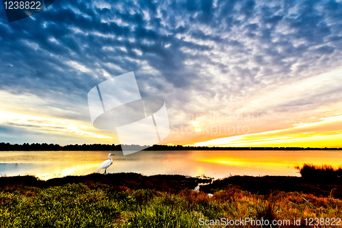 Image of Sunset on the Tejo river.