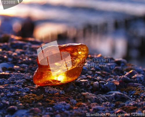 Image of Amber