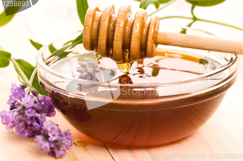 Image of lavender honey with fresh flowers. sweet food 