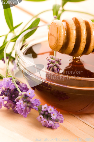 Image of lavender honey with fresh flowers. sweet food 