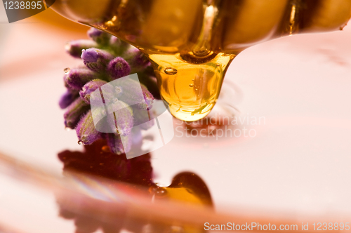 Image of lavender honey with fresh flowers. sweet food 