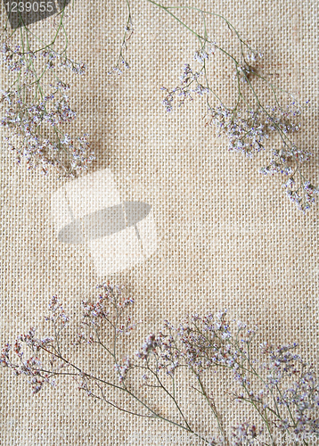 Image of Bunch of  wormwood flowers on sackcloth background 