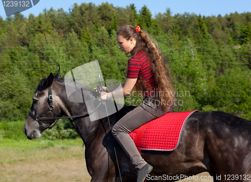 Image of Girl rides a horse