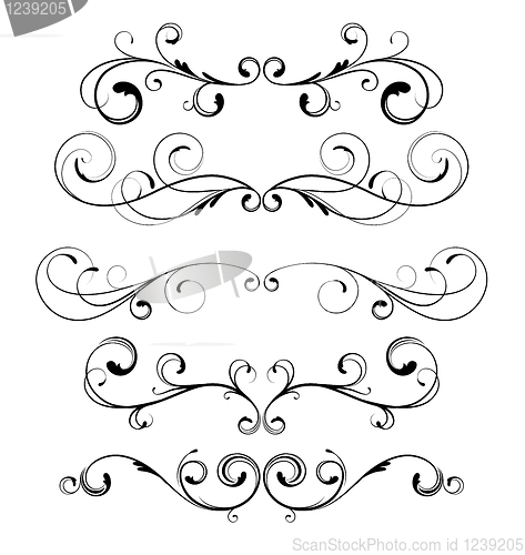 Image of floral decorative elements