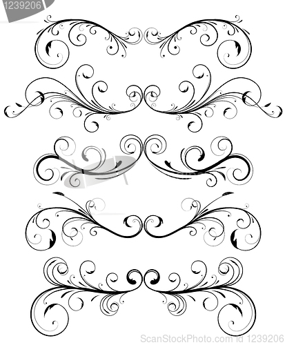 Image of floral decorative elements