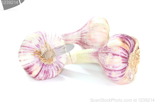 Image of Garlic