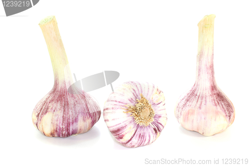 Image of Garlic