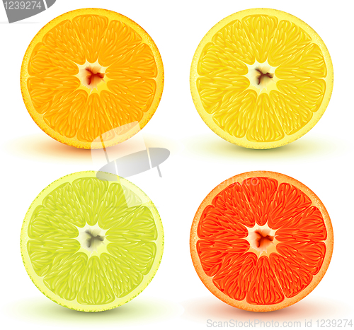 Image of citrus fruits