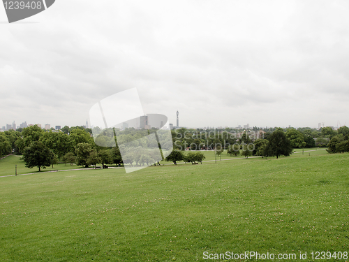 Image of Primrose Hill, London