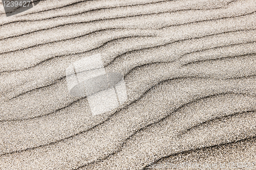 Image of Sand ripples background