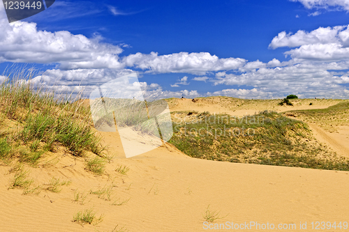 Image of Desert landscape in Manitoba, Canada