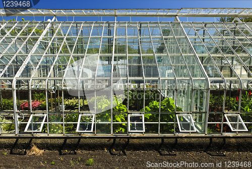 Image of Greenhouse