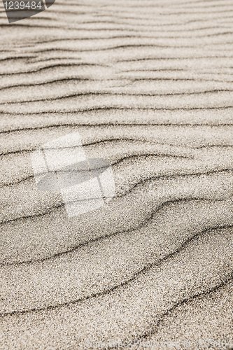 Image of Sand ripples background