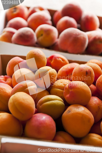 Image of Fruit for sale