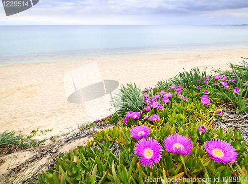 Image of Aegean sea coast in Greece