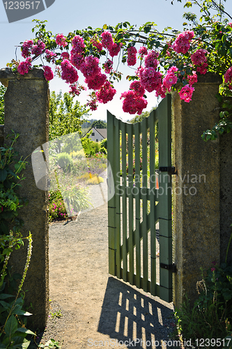 Image of Open garden gate with roses