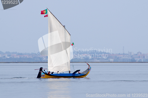 Image of Annual Moliceiros Regatta