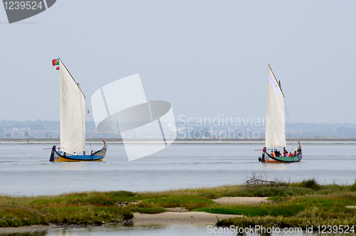 Image of Annual Moliceiros Regatta