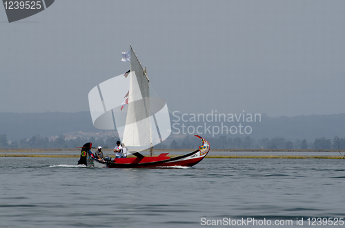 Image of Annual Moliceiros Regatta