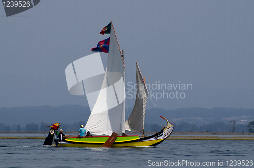 Image of Annual Moliceiros Regatta