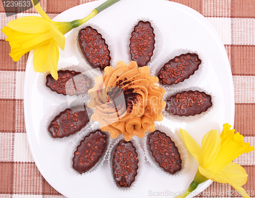 Image of Cake and chocolates on the white plate with yellow daffodils 