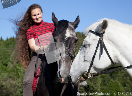 Image of Two horses. Love