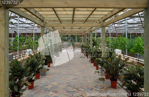 Image of Greenhouse