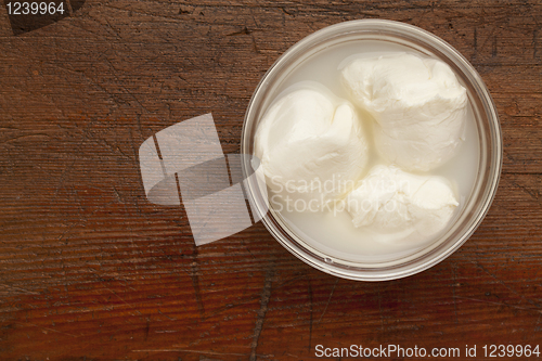 Image of fresh mozzarella cheese
