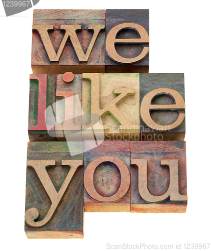 Image of we like you