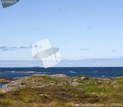 Image of Coastal landscape