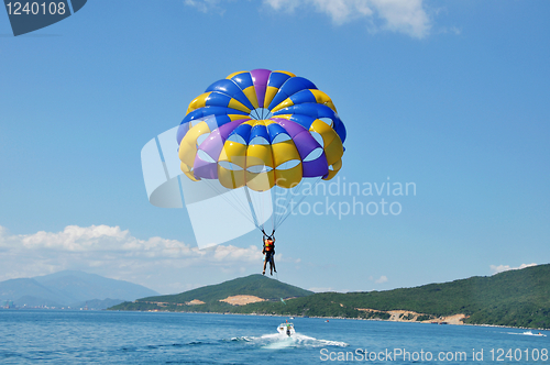 Image of Paragliding on beach