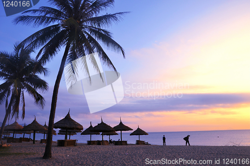 Image of Landscape at beach