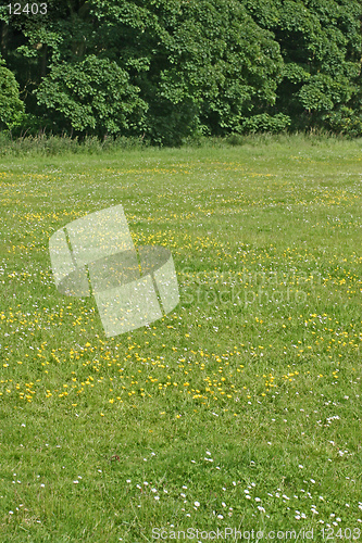 Image of Meadow