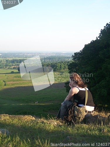 Image of on the meadow
